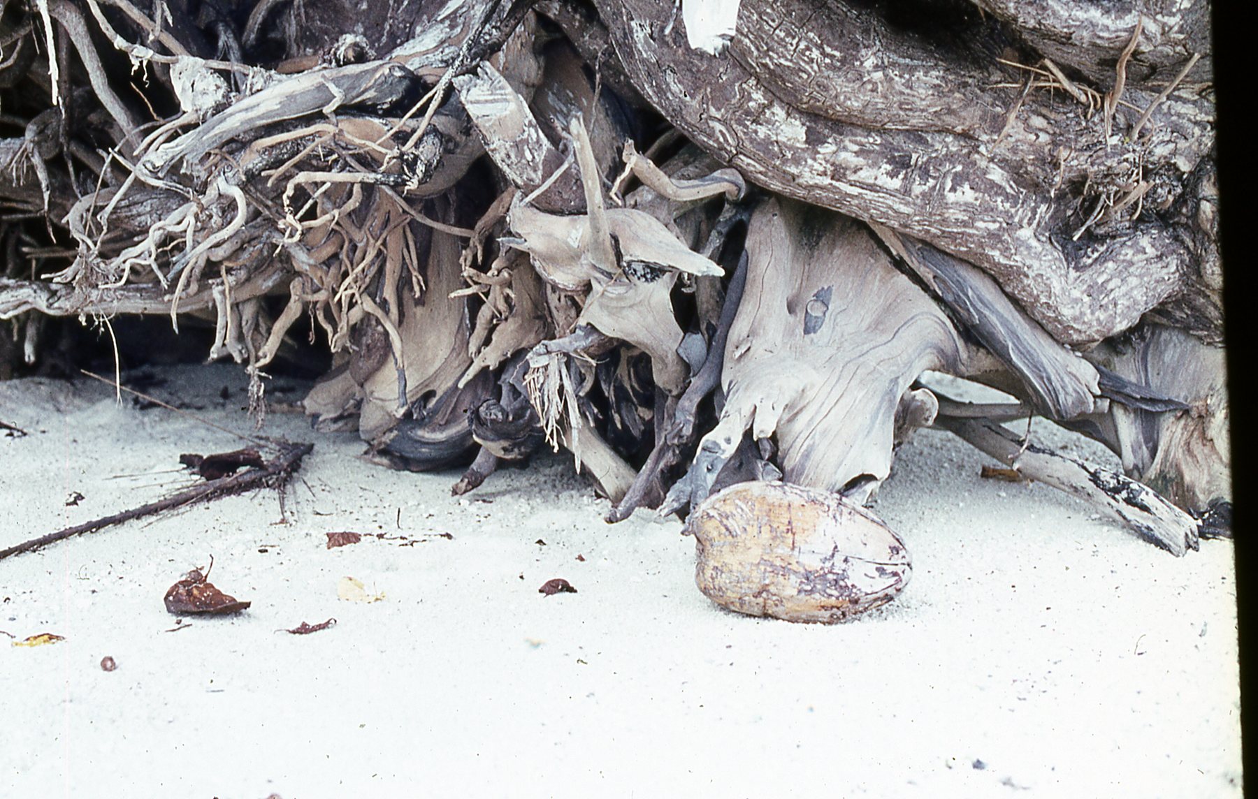1972 Diego Garcia